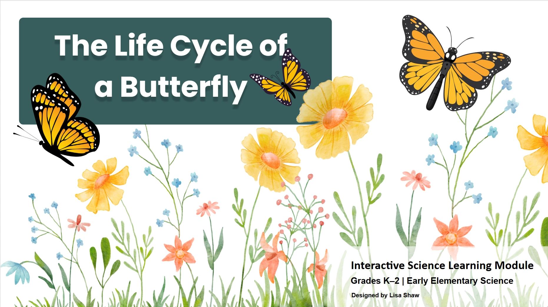 The Life Cycle of a Butterfly module